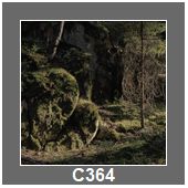 C364