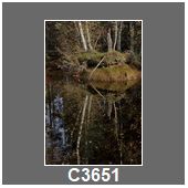 C3651