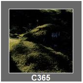 C365