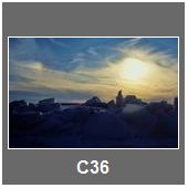 C36