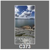 C373