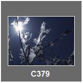 C379
