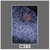 C380