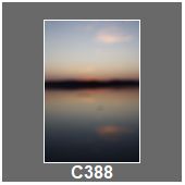 C388