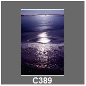C389