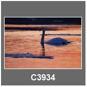 C3934