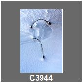 C3944