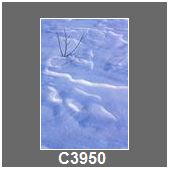 C3950