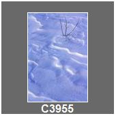C3955