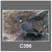 C396