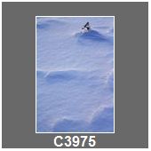 C3975