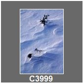 C3999