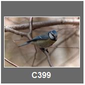 C399