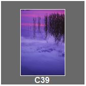 C39