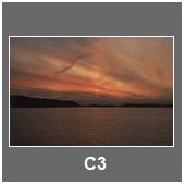 C3