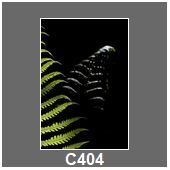 C404