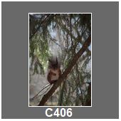 C406