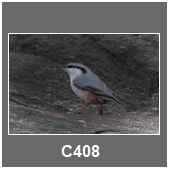 C408