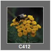 C412