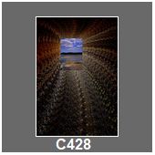 C428