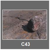 C43
