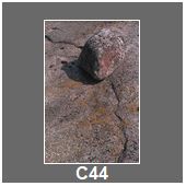 C44