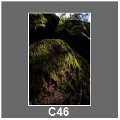 C46