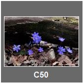 C50