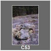 C53