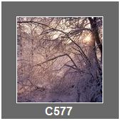 C577