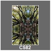 C582