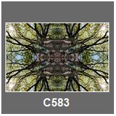 C583