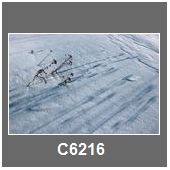 C6216