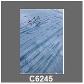 C6245