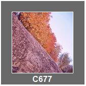 C677