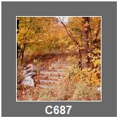 C687