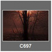 C697