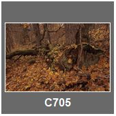 C705
