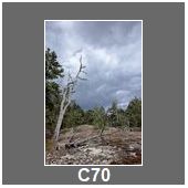 C70