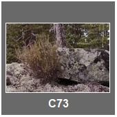 C73