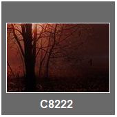 C8222