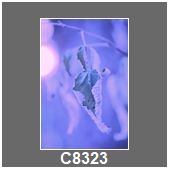 C8323