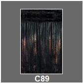 C89