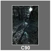C90