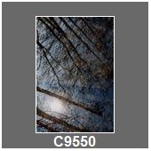 C9550