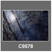 C9578