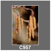 C957