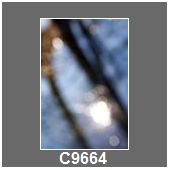 C9664