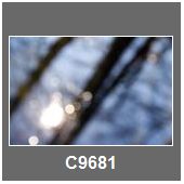 C9681