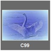 C99